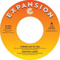 Eighties Ladies - Turned On To You / Ladies Of The Eighties vinyl cover