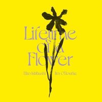 Eiko / O'rourke Ishibashi - Lifetime Of A Flower vinyl cover