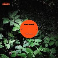 Eira Haul - Forest Beams vinyl cover