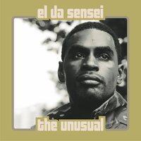 El Da Sensei - Unusual vinyl cover
