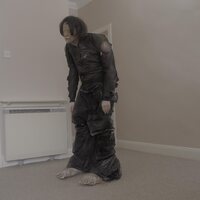 El Perro Del Mar - Big Anonymous vinyl cover