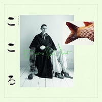 El Perro Del Mar - Kokoro vinyl cover