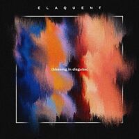 Elaquent - Blessing In Disguise vinyl cover