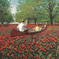 Elder Brother - Stay Inside vinyl cover