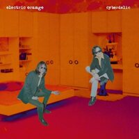 Electric Orange - Cyberdelic vinyl cover