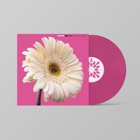 Elefantes - 30 Aniversario vinyl cover