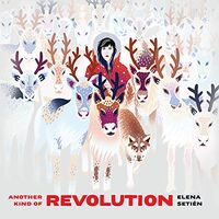 Elena Setien - Another Kind Of Revolution vinyl cover