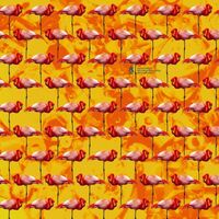Elephant Chateau - Dreamings & Offshore Drilling: Pearls & Turtles vinyl cover