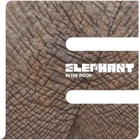 Elephant - In The Room vinyl cover
