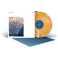 Elephant Tree - Habits vinyl cover