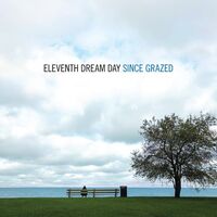 Eleventh Dream Day - Since Grazed vinyl cover