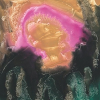 Elg - Mauve Zone vinyl cover
