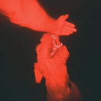 Eli Winter - A Trick of the Light vinyl cover