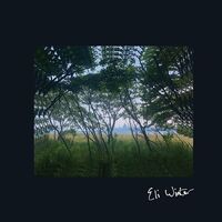 Eli Winter - Eli Winter vinyl cover