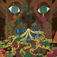 Elkhorn - Distances vinyl cover