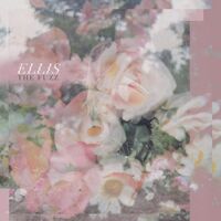 Ellis - The Fuzz Ep vinyl cover