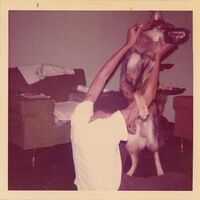 Elucid - I Told Bessie vinyl cover