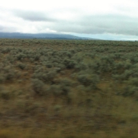 Elvis Presley - 50,000,000 Elvis Fans Can't Be Wrong vinyl cover