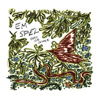 Em Spel - Bird or Snake vinyl cover