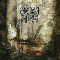 Emissary Of Suffering - Mournful Sights vinyl cover