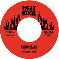Emotions / Big Daddy Kane - Blind Alley Remixes vinyl cover