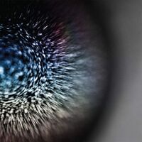 Emptyset - Blossoms vinyl cover
