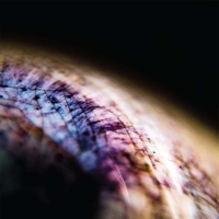 Emptyset - Skin vinyl cover