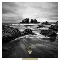 Empyrium - The Turn Of The Tides (Gold) vinyl cover