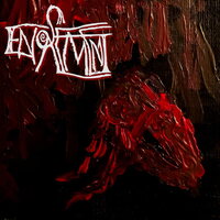 Encasement - Encasement vinyl cover