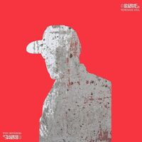 Endemic Emerald - Renegade Soul vinyl cover