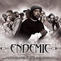 Endemic Emerald - Terminal Illness vinyl cover