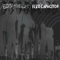 Endorphins Lost / Flvx Capacitor - Endorphins Lost / Flvx Capacitor | Split | 7 vinyl cover