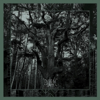Enisum - Seasons Of Desolation vinyl cover