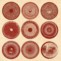 Ensemble Nist-Nah - Spilla vinyl cover