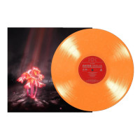 Enter Shikari - Kiss For The Whole World (Orange Sunset) vinyl cover