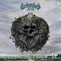 Entombed AD - Back To The Front vinyl cover