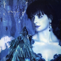 Enya - Shepherd Moons vinyl cover