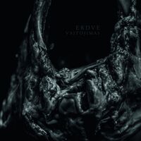 Erdve - Vaitojimas Ltd. Ed. vinyl cover