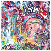 Eric / Animals Burdon - In The Beginning vinyl cover