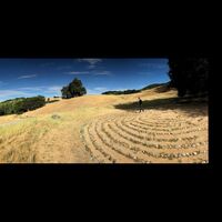 Eric Johnson - Ej Vol. II vinyl cover