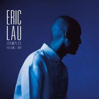 Eric Lau - Examples Volume Two vinyl cover