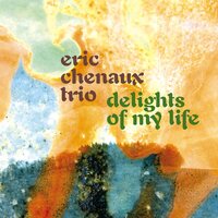 Eric Trio Chenaux - Delights of My Life vinyl cover