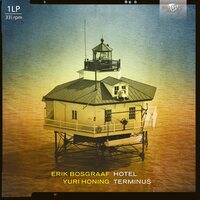 Erik Bosgraaf - Hotel Teminus vinyl cover