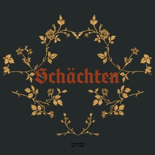 Erik K Skodvin - Schachten vinyl cover