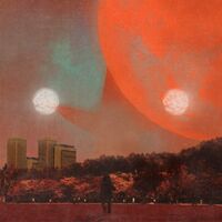 Erika Dohi - I, Castorpollux vinyl cover