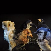 Erikm & Pierre Bastien - Observations vinyl cover