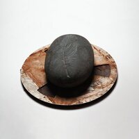 Erland Cooper - Carve The Runes Then Be Content With Silence vinyl cover