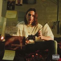 Ernia - Gemelli vinyl cover