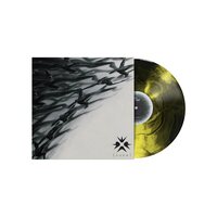 Erra - Cure vinyl cover