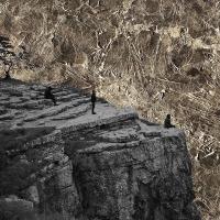 Esben And The Witch - Nowhere vinyl cover